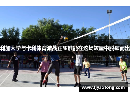 利加大学与卡利体育激战正酣谁能在这场较量中脱颖而出