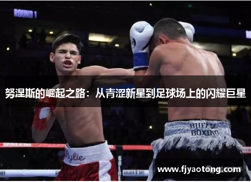 努涅斯的崛起之路：从青涩新星到足球场上的闪耀巨星