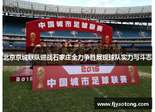 北京京城联队迎战石家庄全力争胜展现球队实力与斗志
