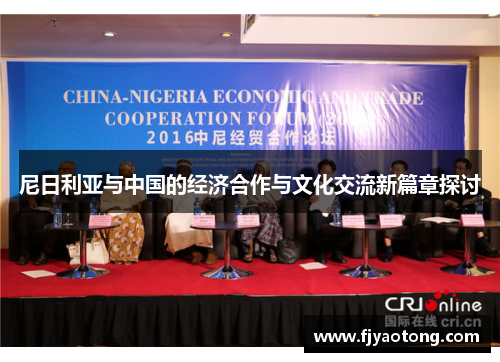 尼日利亚与中国的经济合作与文化交流新篇章探讨