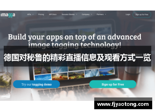 德国对秘鲁的精彩直播信息及观看方式一览